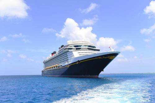 Disney Fantasy Image