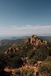 14 Image 14