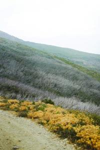 8 Image 8