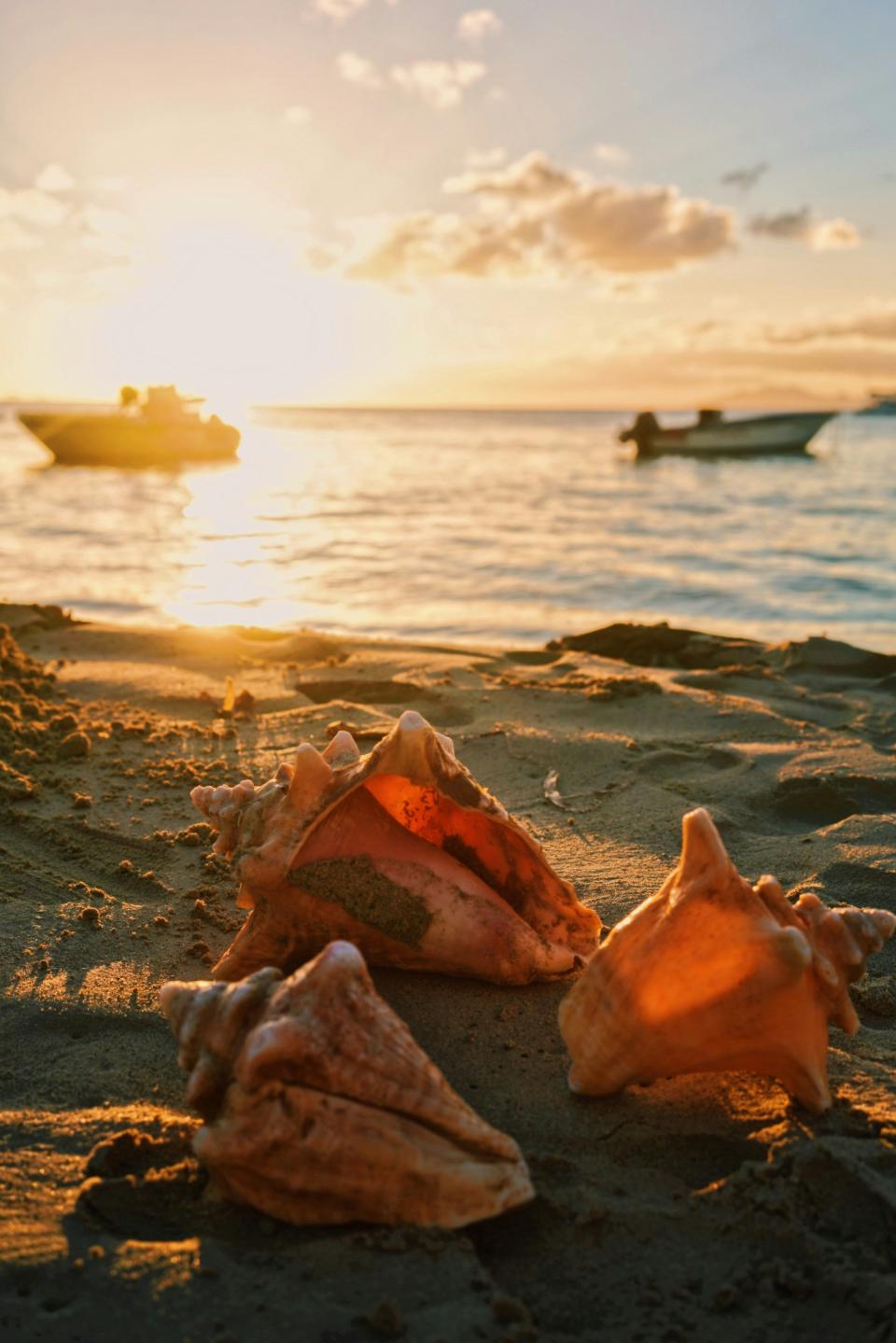 Guadeloupe