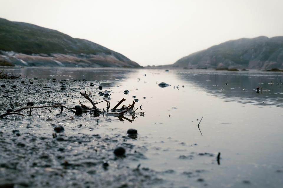 8 Image 8