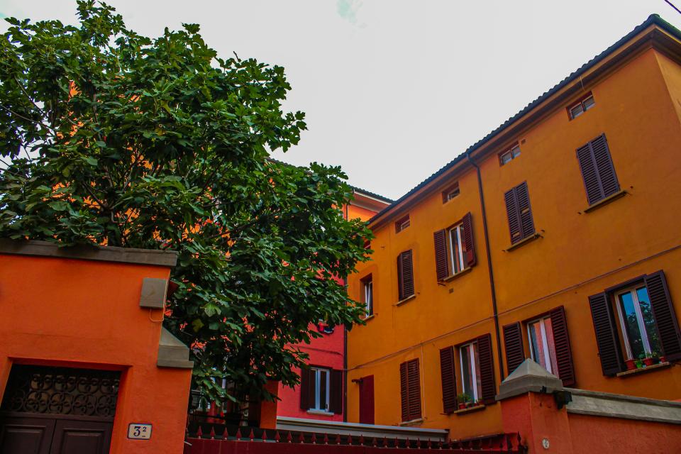 9 Image 9