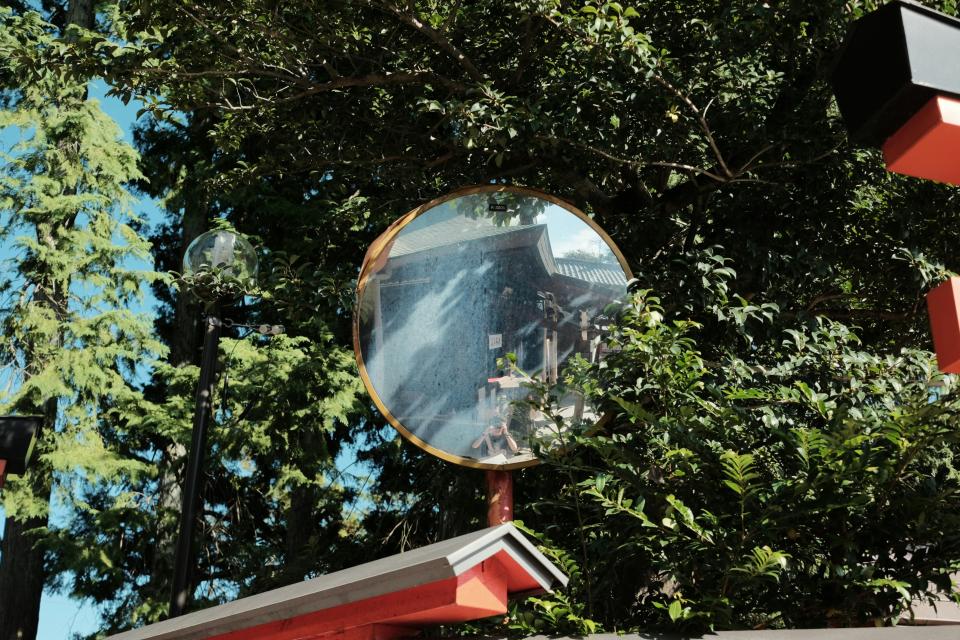 8 Image 8