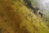 11 Image 11