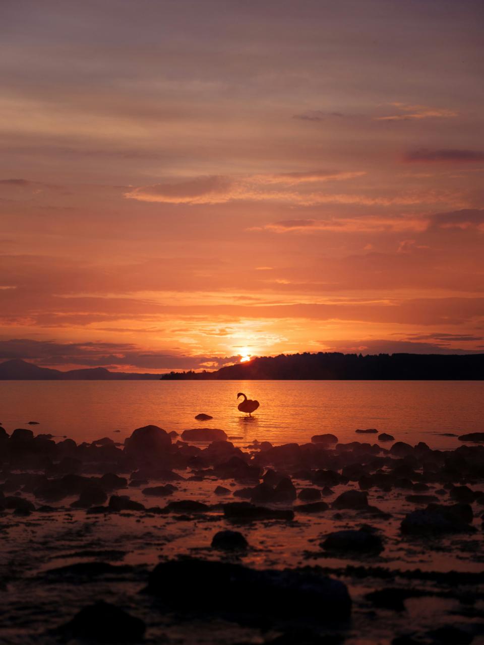 6 Image 6
