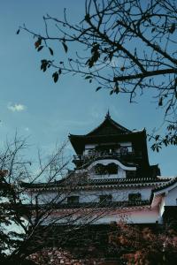30 Image 30
