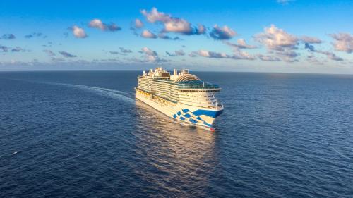 Star Princess Image